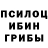 Галлюциногенные грибы мицелий josi wanda