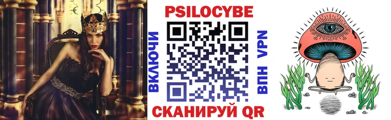Псилоцибиновые грибы Psilocybe  mega ссылки  Уварово 