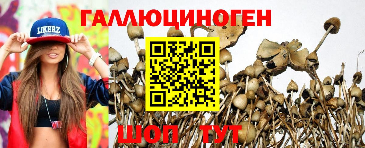 Псилоцибиновые грибы MAGIC MUSHROOMS Уварово