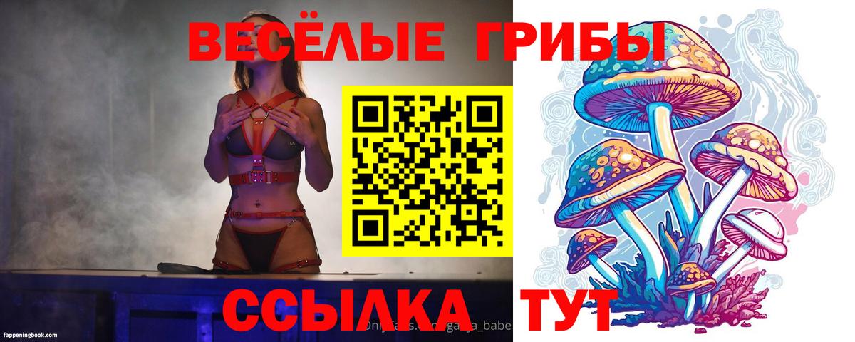Галлюциногенные грибы мухоморы  Вход с VPN  Уварово 